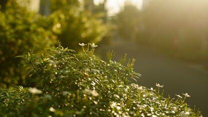 工商银行软件开发中心研发管理系统权限体系的探索与实践