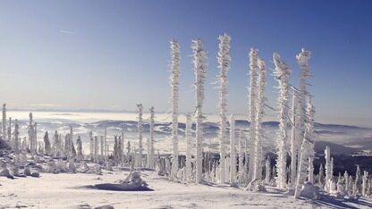 浪潮信息刘军：AI产业不降本难盈利，1元钱/每百万Token的成本还远远不够！