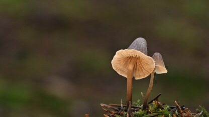世界模型能实时玩了，蚂蚁灵波开源LingBot-World-Fast