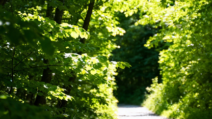 一份政府报告 | 五年 AI 风向，企业如何跑完智能化转型的“最后一公里”？