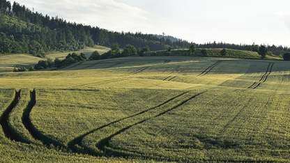 亚马逊云科技发布第五代 Graviton 处理器，M9g 实例同步登场