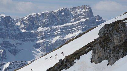 Karrot通过在亚马逊云科技上部署全新可扩展的特征平台将转化率提升70%