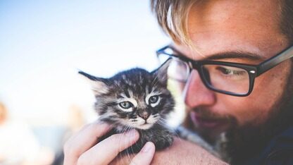 AI编码工具变 “格式化神器”？Claude CLI半年频当“系统杀手”，多位开发者痛斥：心血都没了！