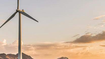 怎么把文件存到公共目录,在文件管理可以查看呢?