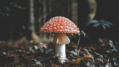 Cloudflare 修复了容器中的跨租户数据泄露问题