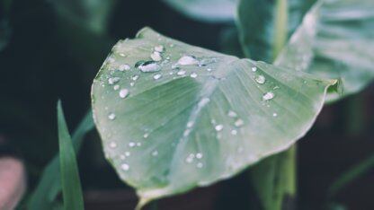 AI 助力 Dragonwell Native 加速:10 倍性能提升机会的自动发现实践