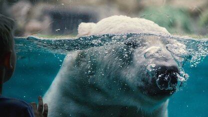 我在大厂这五年：从热情如火到精神焦虑，高薪升职也要离开