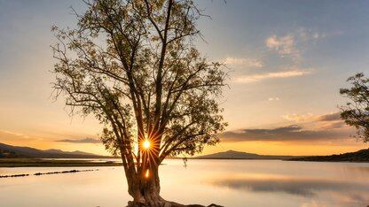 一种可以减少 CI 回归测试套件规模的更佳方案