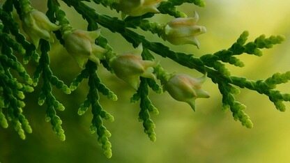 Nuxt Test Utils v4:基于Vitest v4,重构mock机制并强化环境的初始化