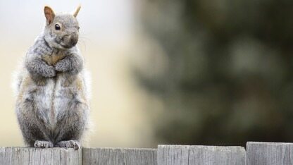 当 PM 懂AI，当技术懂产品：AI 时代产品力的双向进化｜PM x AI产品力领航者大会即将开幕