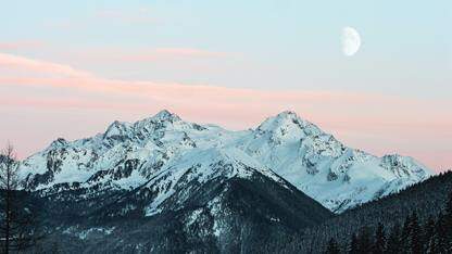 在Go中使用QJS和WebAssembly运行现代ES2023 JavaScript