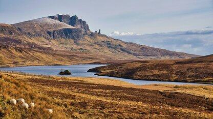 “答开发者问”之HarmonyOS技术问题解析 第6期