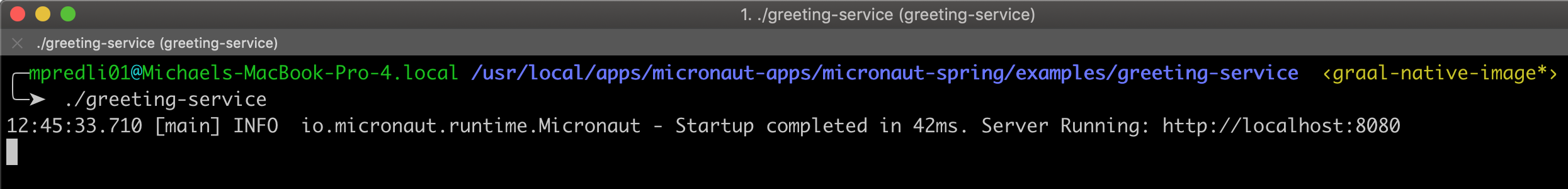 Micronaut for Spring支持Spring Boot应用以Micronaut形式运行