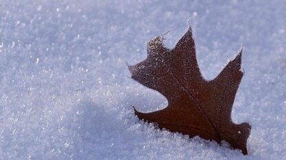 OpenViking：面向 Agent 的上下文数据库