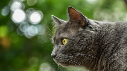 腾讯猛发一系列AI成果,开源混元3D世界模型、升级0代码智能体平台、10+垂直Agent同时放送...