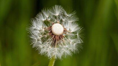 OpenAI新的GPT-5.1模型更快、更具对话性