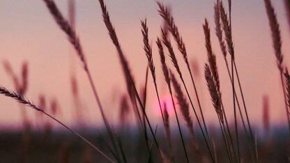 全国产算力托底、告别AI内卷，科大讯飞如何让每个人站在AI肩膀上？