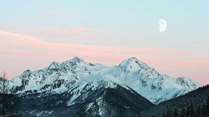 请问Image的图片地址可以使用三元表达式吗？