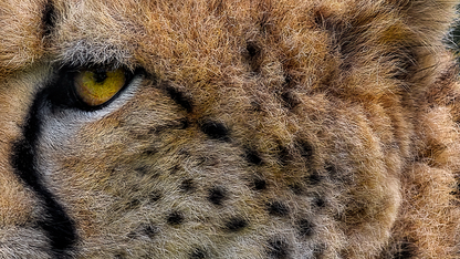 将配置作为控制平面：设计安全可靠的大规模系统