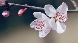 Go中的泛型：激动人心的突破