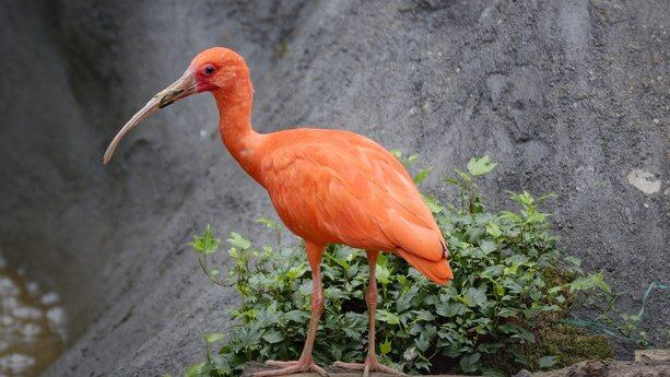 挖矿不行了找AI接盘！挖矿公司们来抢云厂商生意：收入涨10倍，今年的算力早就卖完了！