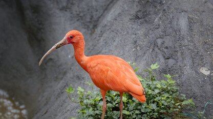 Agoda是如何将多个数据管道统一为单一事实来源的