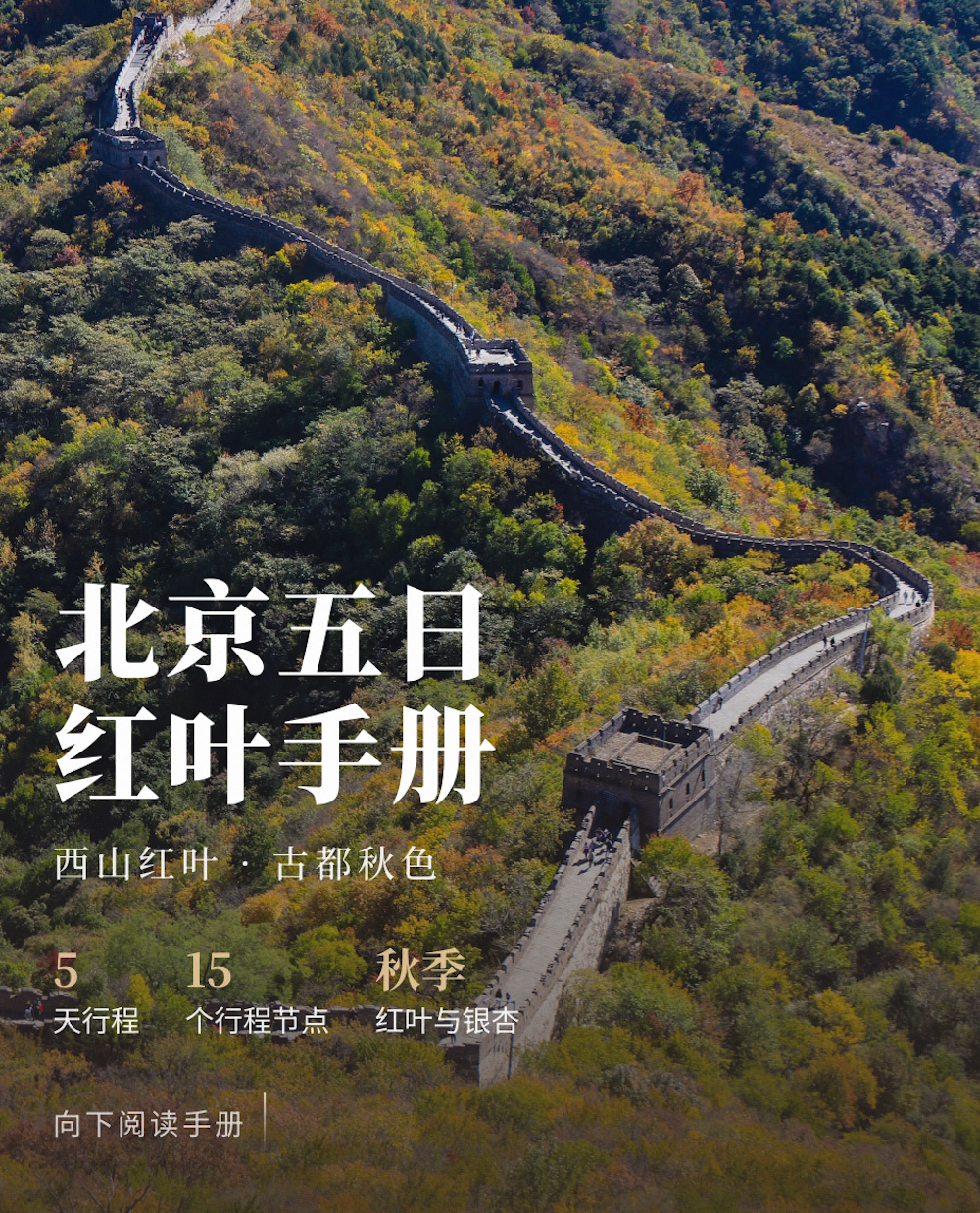 豆包工作上线 IGA Pages 插件,一句话让网页变得可分享、可共创