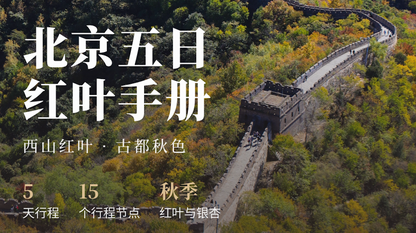 豆包工作上线 IGA Pages 插件,一句话让网页变得可分享、可共创