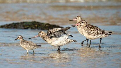 &nbsp;

跟大厂拼价格到底！智谱AI 宣布模型全面降价，刘慈欣、AI 老罗线上“整活儿”