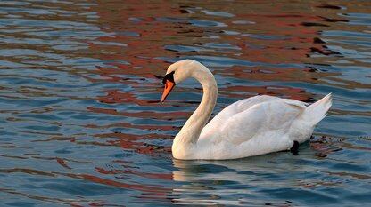 抨击AI炒作、曝企业需求为先，Anthropic 联创：模型提 0.01 性能就血赚，算力烧钱但值！