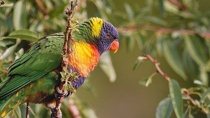 Airbnb在发现问题并非源于企业文化后,重新构建了告警开发流程