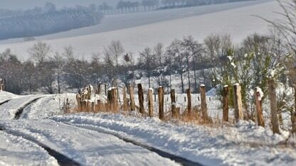工作场景AI化,一个月花100美元订阅AI工具值吗?