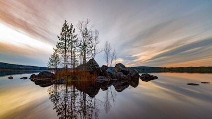 生态市场全新升级，助力鸿蒙应用高效开发