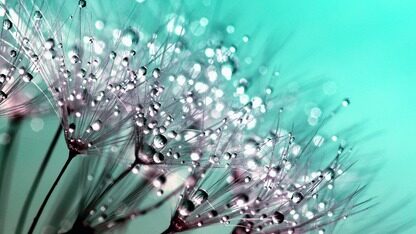 实时计算框架 Flink 在教育行业的应用实践（上）