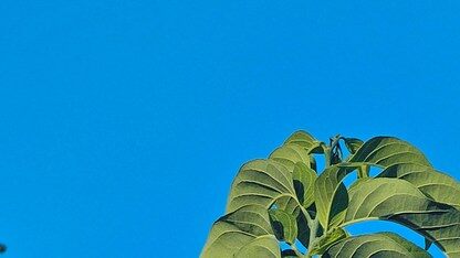 阿里巴巴中国电商事业群/飞猪CTO陈烨博士已确认出席QCon上海，分享“从 Coding 到消费：AI 的下一场革命”