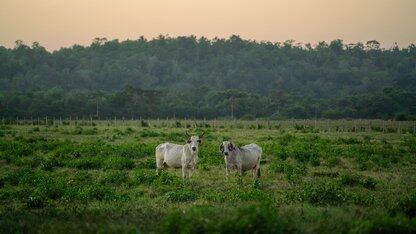 从软件开发到测试自动化的角色转变