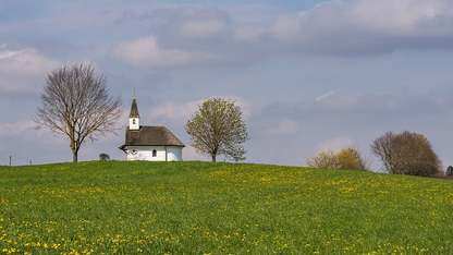 CNCF 与 Kusari 合作,共同加强云原生项目的软件供应链安全