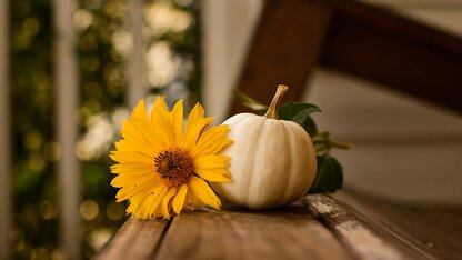 Elastic MCP 及 Agentic AI：构建可信、上下文感知能力的搜索｜QCon北京