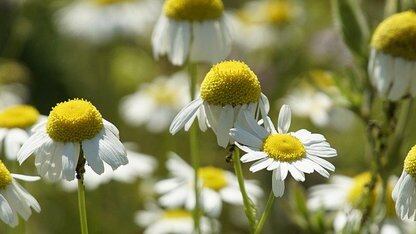 KubeVirt v1.8 为 Kubernetes 带来多虚拟机管理程序和机密计算功能