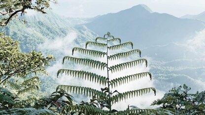 配置一改就要重启的时代结束了：Dev Proxy 2.1 正式上线