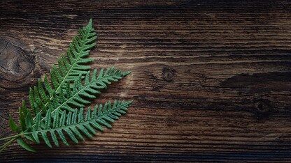 极验联合创始人张振宇：科技企业如何成功出海？