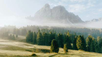 半模态高度能否自适应，怎么实现？