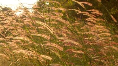 淘宝闪购：从骑手智能助手业务落地到 Agent 平台化建设｜QCon北京