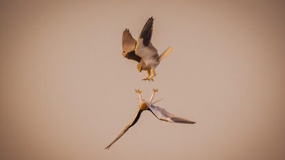 京东物流 B 端营销的数据闭环与 AI 驱动增长实践｜AICon北京