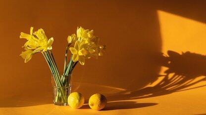 Nuxt引入了原生请求取消和异步处理器提取以提升性能