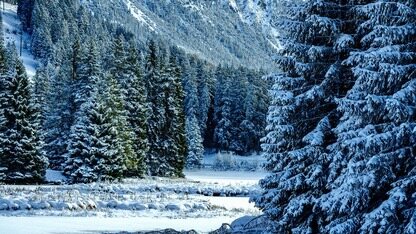 宣布开源! 国版“OpenClaw” 网易有道 LobsterAI 打造更易用的智能体助手