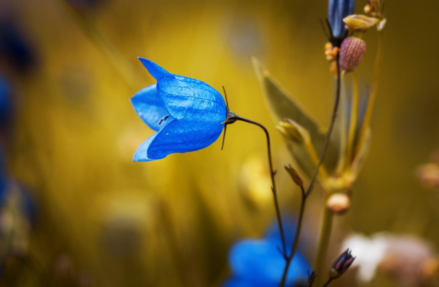 面向 AI Agents 的高性能数据基座：架构和工程实践