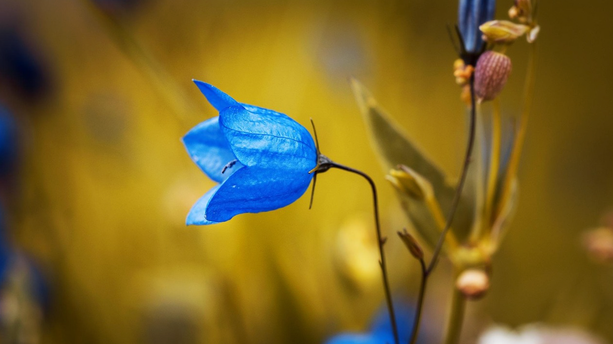 面向 AI Agents 的高性能数据基座：架构和工程实践