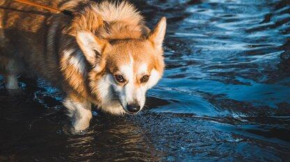 为什么你的大多数监控策略都失败了