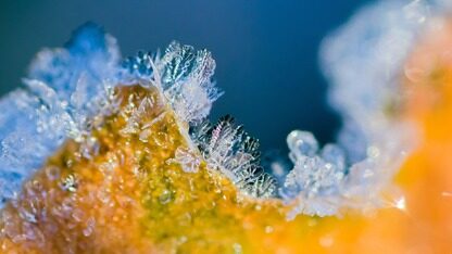 智源一次性发布超100个大模型评测结果，文本到视频等多模态领域全覆盖